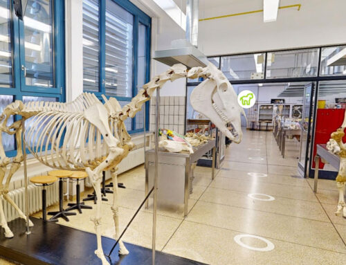 3D Scan des Institutes für Veterinär-Anatomie, -Histologie und -Embryologie der Justus-Liebig-Universität Gießen